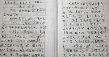 小學(xué)寫校園的作文400字作文