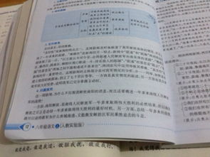 作文,語文,發(fā)生,校園