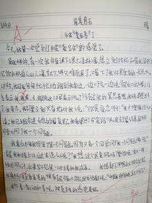 我與校園的成長故事作文600字