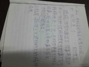 以校園體育為主題的作文