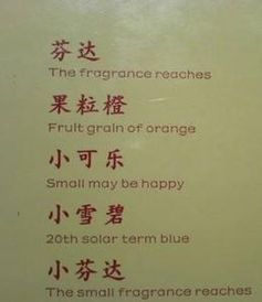 與校園有趣作文大全