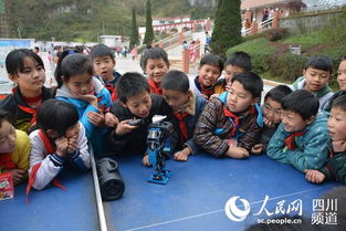 科普大篷車(chē)進(jìn)校園觀(guān)后感作文