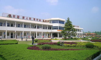 美麗校園作文不少于200字