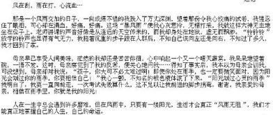 陽光校園作文題目怎么寫