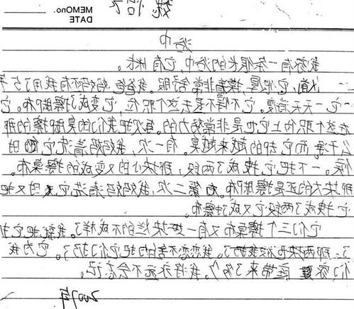 作文,描寫(xiě),景色,秋天