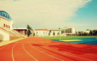 作文,操場(chǎng),校園