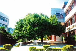 四級寫景作文美麗校園花壇