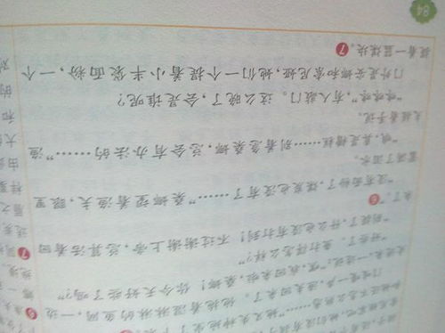 校園的遺憾作文500字作文高中