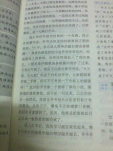 作文,字左右,高中,校園安全