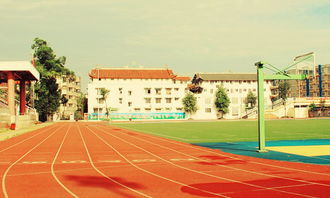 校園中的風景線作文400