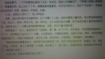 夢(mèng)想校園作文450字作文