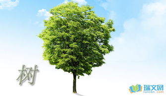 我是校園里的一棵樹作文400字