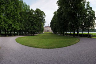 校園清晨作文高中