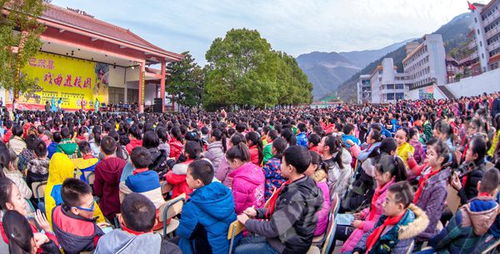 記戲曲進(jìn)校園活動作文600字