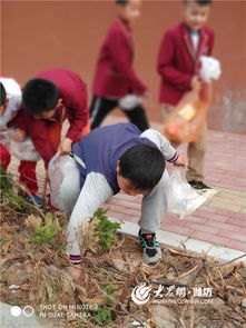 校園環(huán)保小衛(wèi)士400字作文