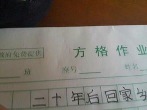 二十后校園作文450