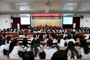 作文,傳統(tǒng)文化,有感,進(jìn)校園