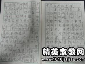校園運動會消息作文200