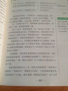 三級(jí)作文校園里的事作文