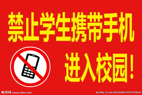 嚴(yán)禁學(xué)生帶零食進(jìn)校園的作文