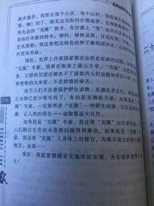 二十,歡聚,作文,想象