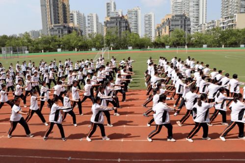 武術走進校園作文