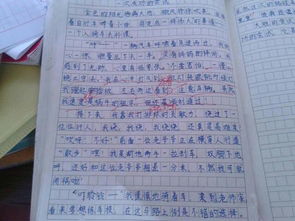 多彩校園作文400字以內(nèi),多彩的校園400字作文,多彩的校園活動(dòng)作文400字六年級(jí)