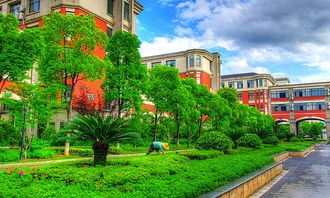 80中校園風景作文600字