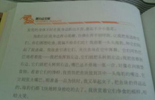 春滿(mǎn)校園作文150字