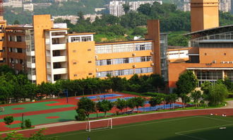 作文校園的早晨不少于300字作文