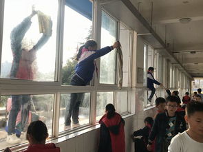 作文,振興,小學,美麗