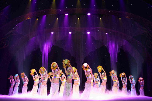 晚會,注意事項,演出