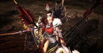 腹直肌分離注意事項,柱色譜分離注意事項,劍三寄養(yǎng)注意事項