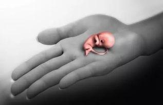 子宮破裂術(shù)后注意事項(xiàng),子宮破裂修補(bǔ)術(shù)后注意事項(xiàng),為預(yù)防子宮破裂手術(shù)注意事項(xiàng)不包括