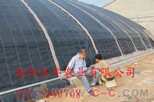 建蔬菜大棚結(jié)構(gòu)注意事項