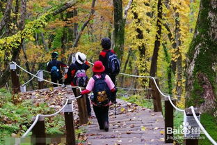 登山,注意事項,活動