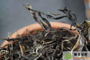 儲(chǔ)存茶葉要注意事項(xiàng)