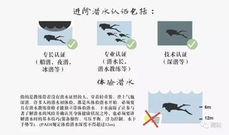 下級(jí),表?yè)P(yáng),注意事項(xiàng)