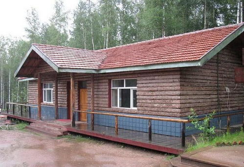 logo設計注意事項,酒窖設計的注意事項,平房養(yǎng)狗注意事項