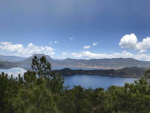 北海道,注意事項,跟團,旅游