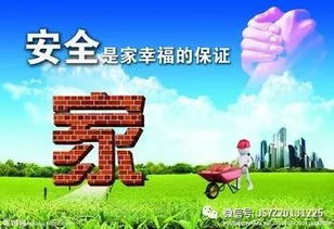 小學(xué)生寒假安全教育主題班會,小學(xué)生寒假安全教育主題班會ppt,小學(xué)生寒假安全教育教案