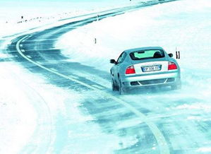 開車上墳車應(yīng)該注意事項(xiàng)