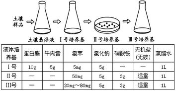 培養(yǎng)基,平板,注意事項,制作