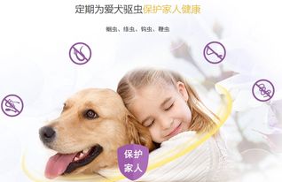 幼犬,注意事項,吃犬心保