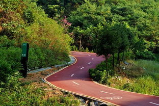 北蔡森林公園規(guī)劃,亞龍灣熱帶天堂森林公園注意事項(xiàng),森林公園春游時(shí)的注意事項(xiàng)