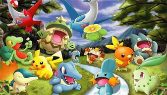 小精靈,注意事項,寵物,二周目