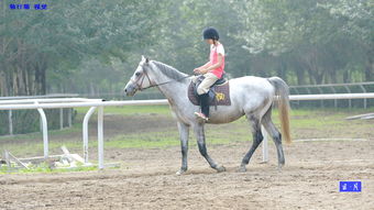 女性騎馬注意事項,騎馬的技巧和注意事項,新手騎馬的注意事項