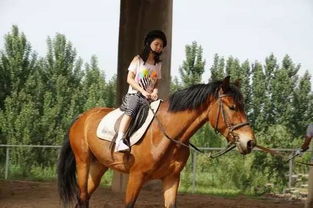 騎馬,注意事項,女孩