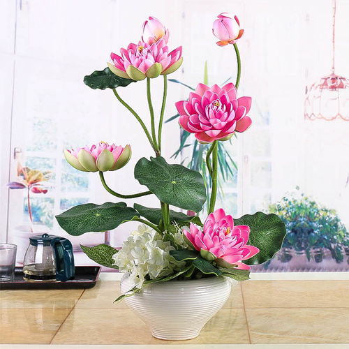 供蓮花燈注意事項