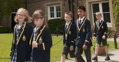 英國租房注意事項(xiàng),英國買房流程及注意事項(xiàng),英國短毛貓注意事項(xiàng)